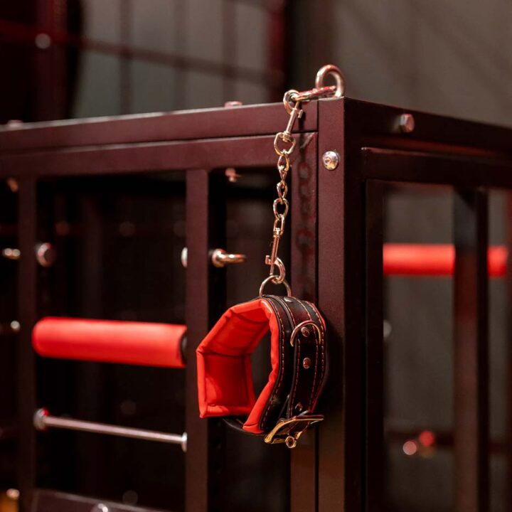 Apartament Secret Love BDSM & SPA II w Poznaniu – zdjęcie 49