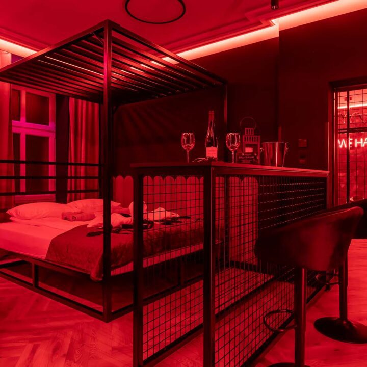 Apartament Secret Love BDSM & SPA II w Poznaniu – zdjęcie 56