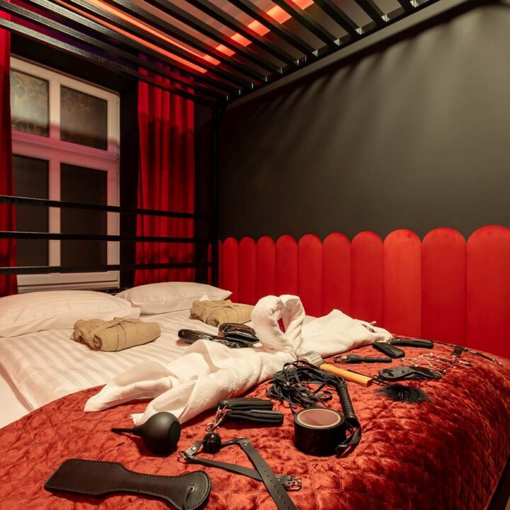 Apartament Secret Love BDSM & SPA II w Poznaniu – zdjęcie 69