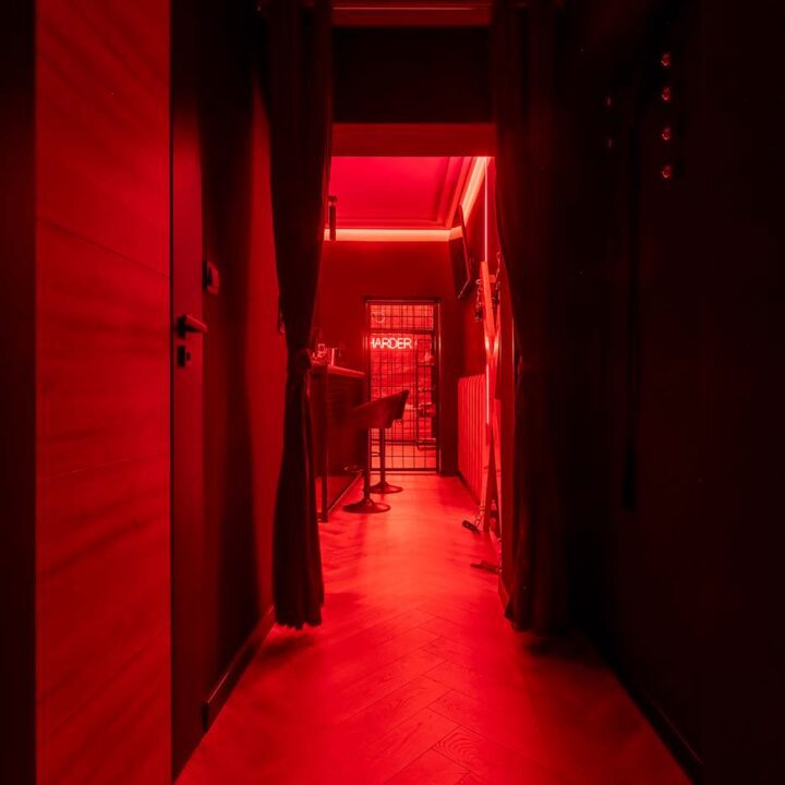 Apartament Secret Love BDSM & SPA II w Poznaniu – zdjęcie 90